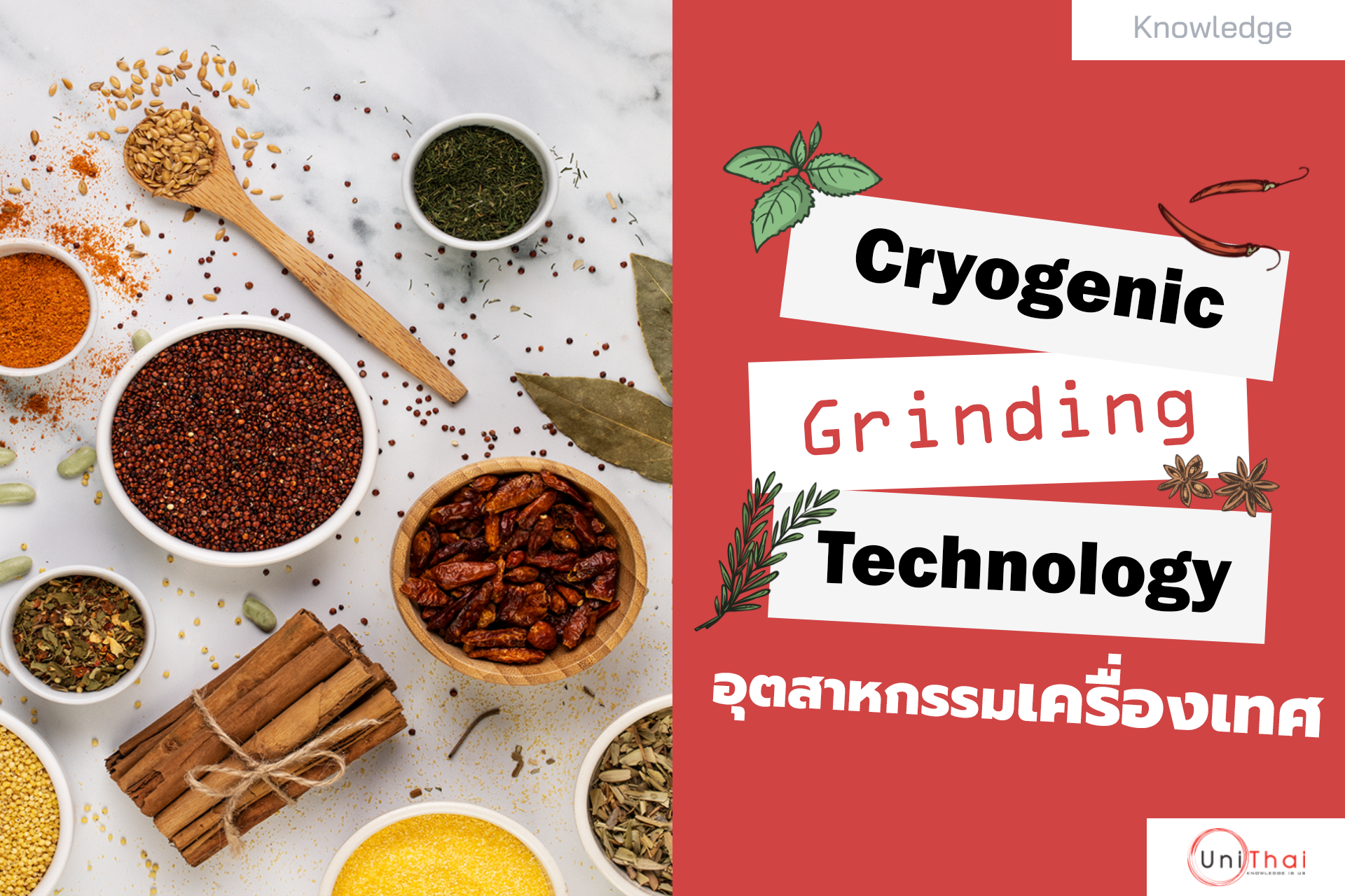 เทคโนโลยี Cryogenic Grinding: เบื้องหลังความหอมสดของเครื่องเทศระดับพรีเมียม